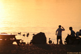 Silhouette ducks
